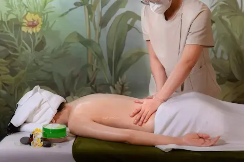 Bài Việt Nam Cổ truyền + thảo dược